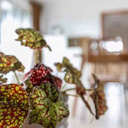 Meeressand Apartamento Böhl